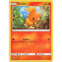CES 025 - Torchic CES 025 - Torchic