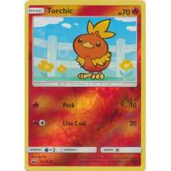 CES 026 - Torchic