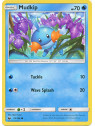 CES 033 - Mudkip