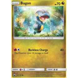 CES 104 - Bagon Bagon (CES 104)