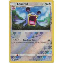 CES 118 - Loudred