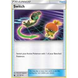 CES 147 - Switch CES 147 - Switch