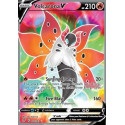 EVS 170/203 - Volcarona V