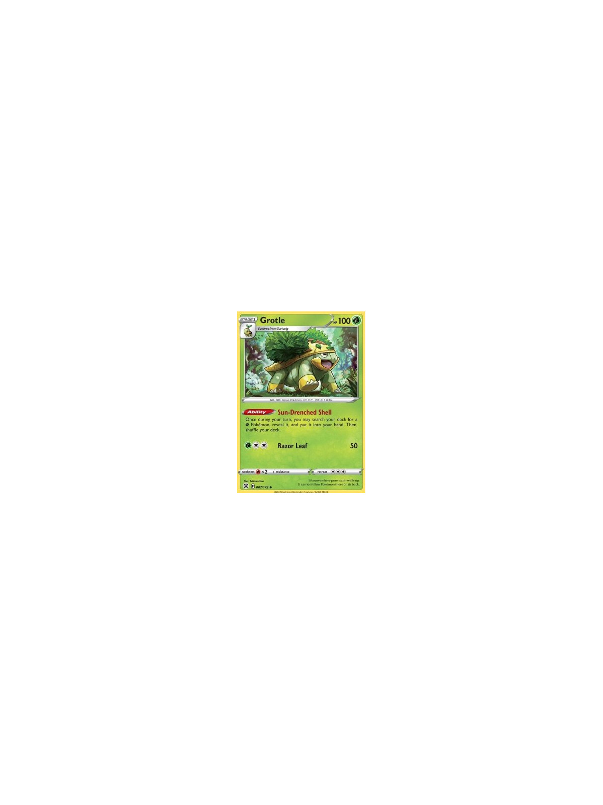 BRS 007 - Grotle - 