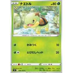 S9 006 - TurtwigStar Birth Star Birth€ 0,05 Star Birth