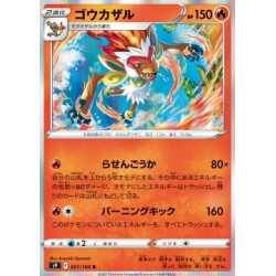 S9 021 - Infernape
