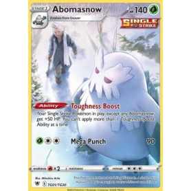 ASR TG01 - Abomasnow