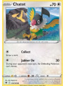 ASR 129 - Chatot