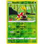 RCL 005/192 - Shuckle - Reverse Holo