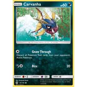 SUM 081 - Carvanha SUM 081 - Carvanha