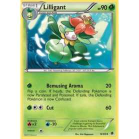 EPO 014 - Lilligant