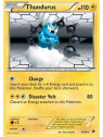 Thundurus