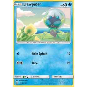 Dewpider (UNM 048)