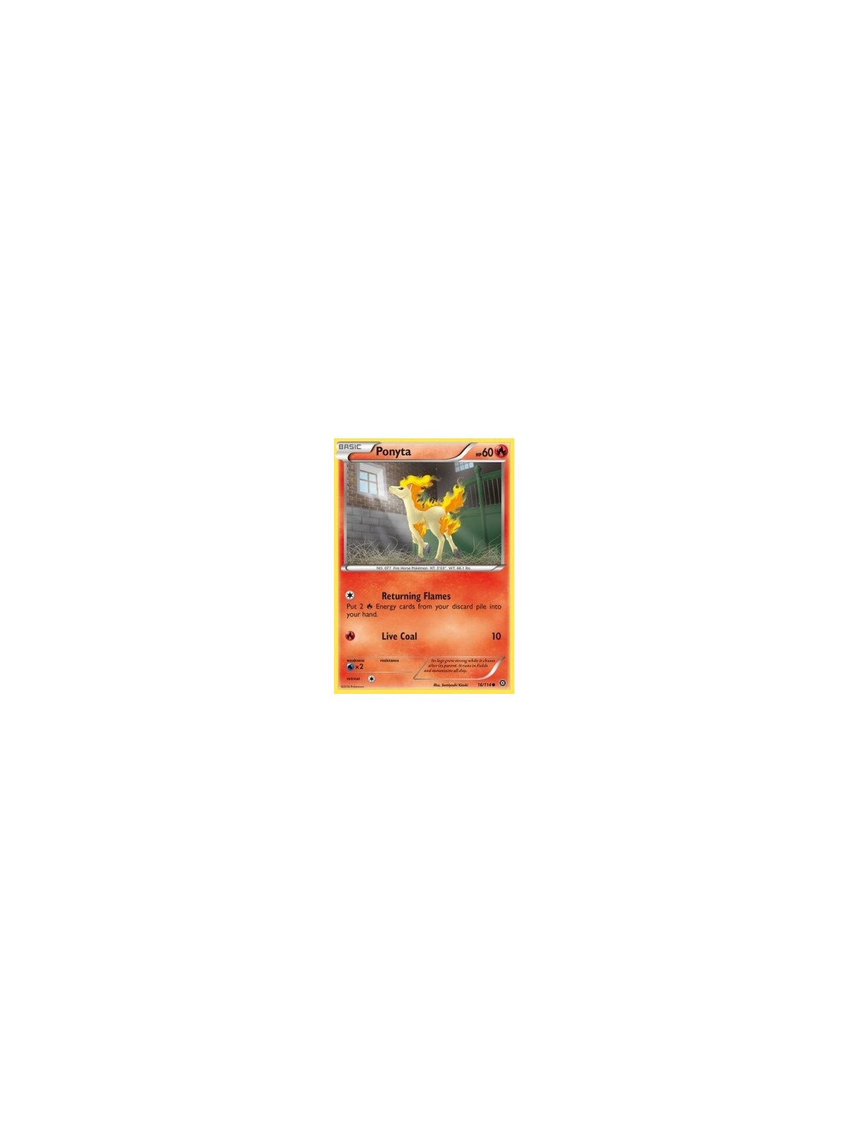 STS 016 - Ponyta