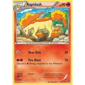 STS 017 - Rapidash STS 017 - Rapidash