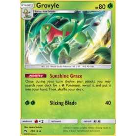 LOT 021 - Grovyle LOT 021 - Grovyle