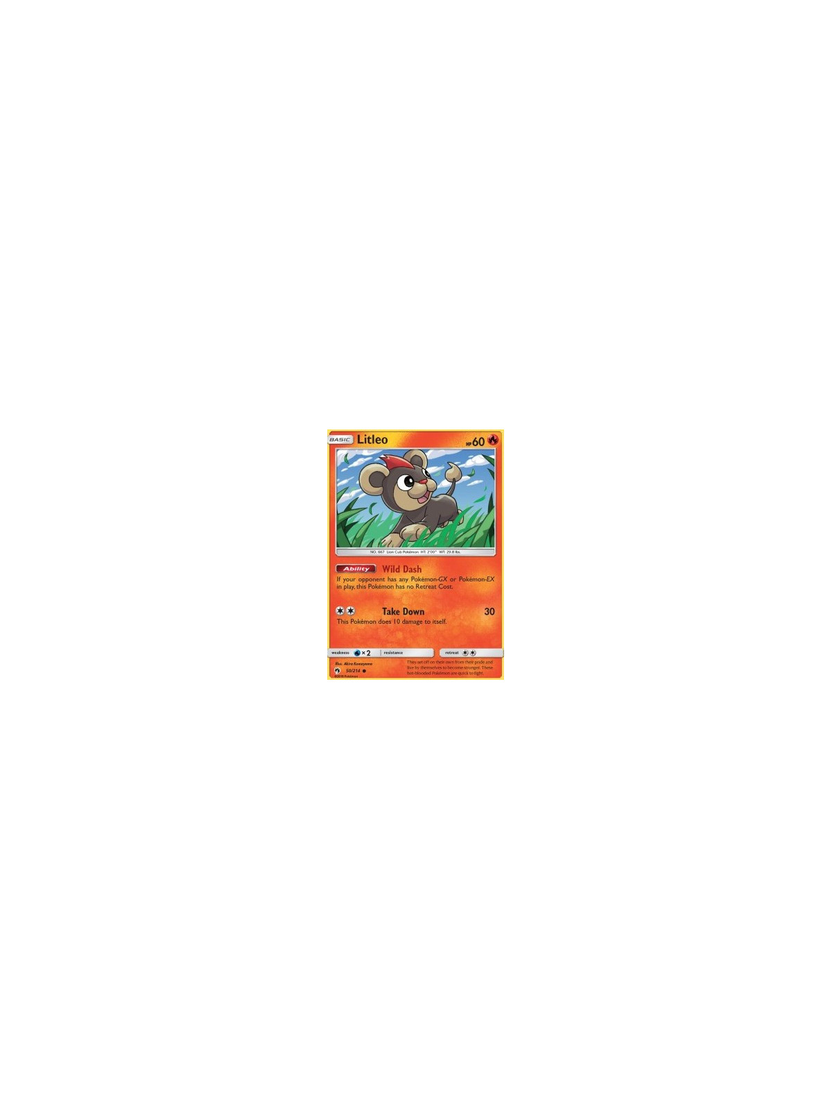 LOT 050 - Litleo 