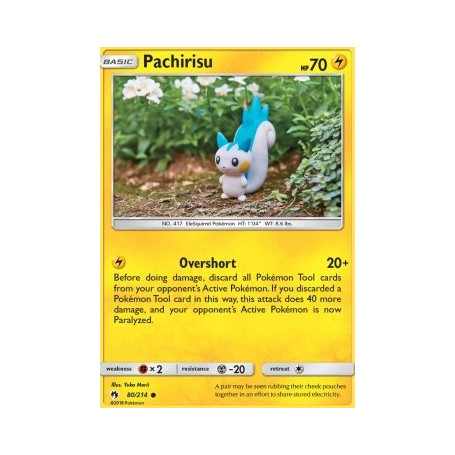 LOT 080 - Pachirisu 