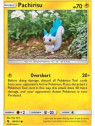 LOT 080 - Pachirisu 