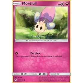 LOT 147 - Morelull  LOT 147 - Morelull