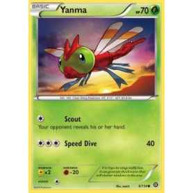 STS 006 - Yanma