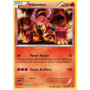 STS 025 - Volcanion 