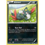 STS 060 - Sneasel
