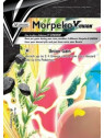 SWSH 215 - Morpeko V-UNION
