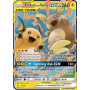 Raichu & Alolan Raichu GX (UNM 054)