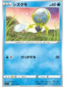 S11 031 - Dewpider
