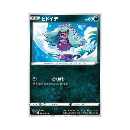 S11 071 - Mareanie