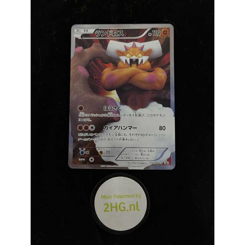 BW-P 112 - Landorus
