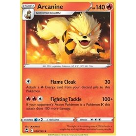 SIT 020 - Arcanine