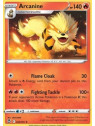 SIT 020 - Arcanine