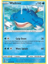 SIT 037 - Wailmer - Reverse HoloSilver Tempest Silver Tempest€ 0,35 Silver Tempest