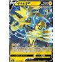 S8b 054 - Zeraora V