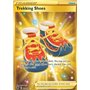 ASR 215 - Trekking ShoesAstral Radiance Astral Radiance€ 14,99 Astral Radiance