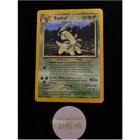 NG 029 - Bayleef NG 029 - Bayleef