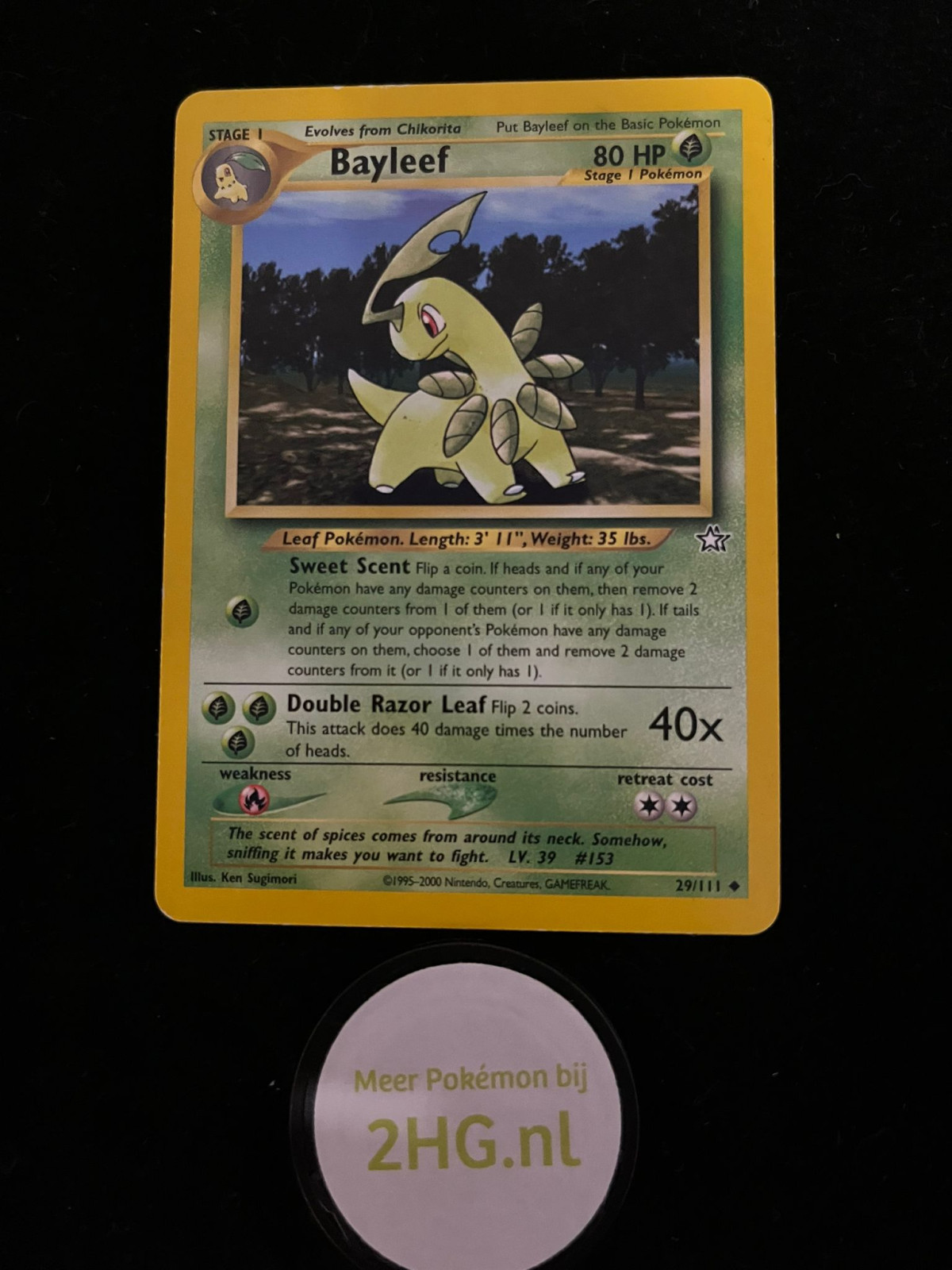 NG 029 - BayleefNeo Genesis Neo Genesis€ 1,99 Neo Genesis