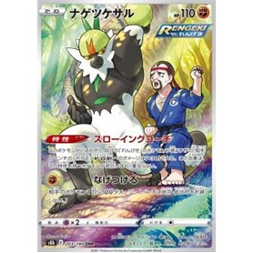 s8b 203 - Passimian
