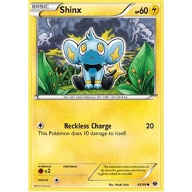 NXD 043 - Shinx NXD 043 - Shinx
