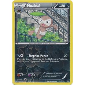 NXD 071 - Nuzleaf - Reverse Holo