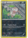 NXD 071 - Nuzleaf - Reverse Holo