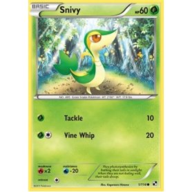 BLW 001 - Snivy  BLW 001 - Snivy