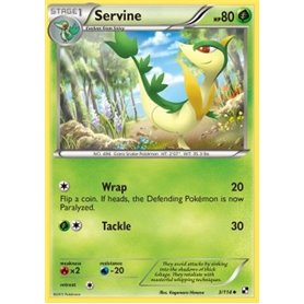 BLW 003 - Servine (Wrap)