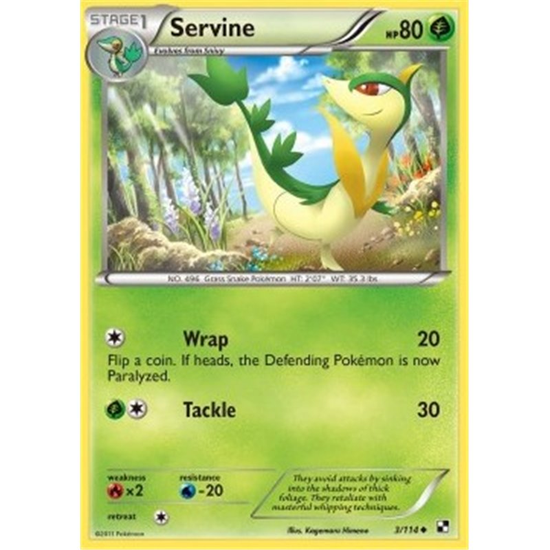 BLW 003 - Servine (Wrap)