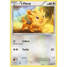 BLW 081 - Lillipup  BLW 081 - Lillipup