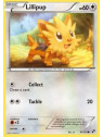 BLW 081 - Lillipup 