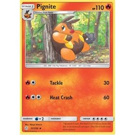 CEC 032 - Pignite