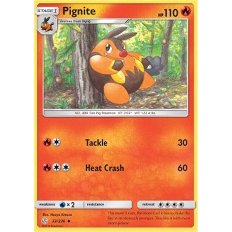 CEC 032 - Pignite